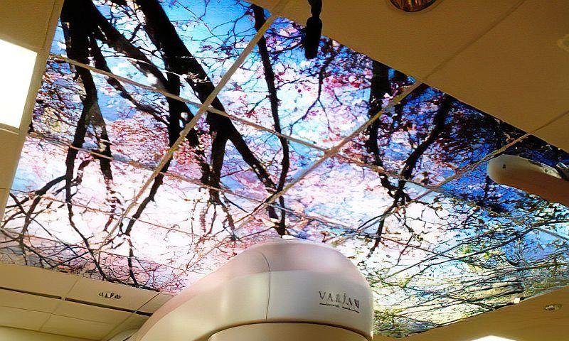 Luminous Ceiling
